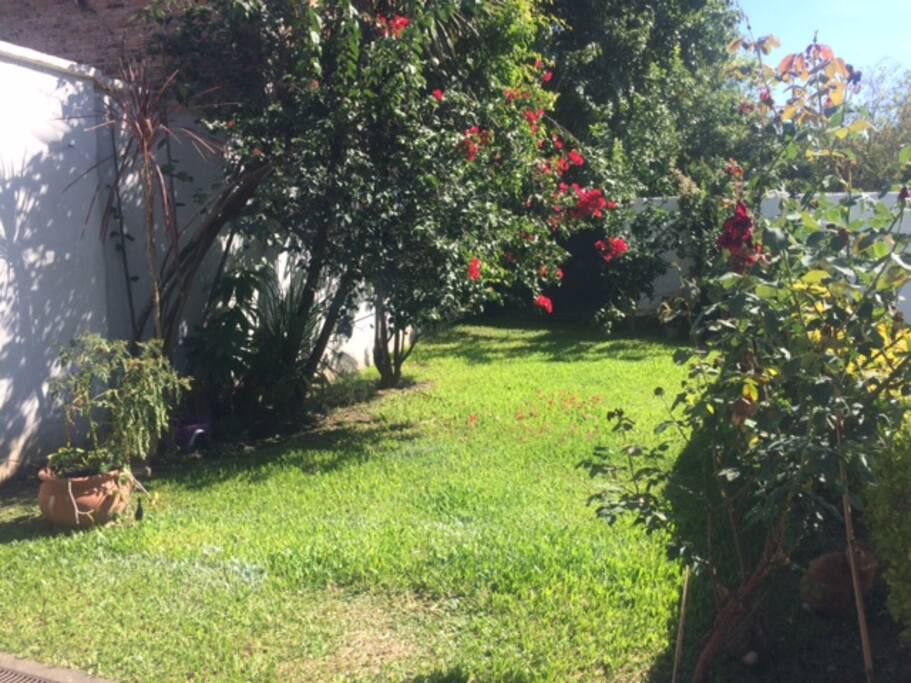Jardin al costado de Piscina.