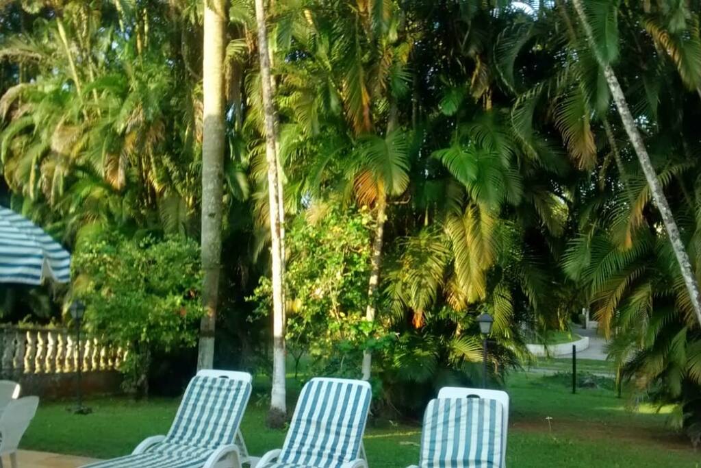 Jardim de 1.000 m2