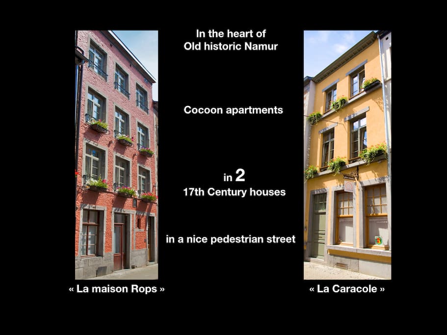 Les deux maisons se font face dans une rue piétonne au centre du Vieux Namur.