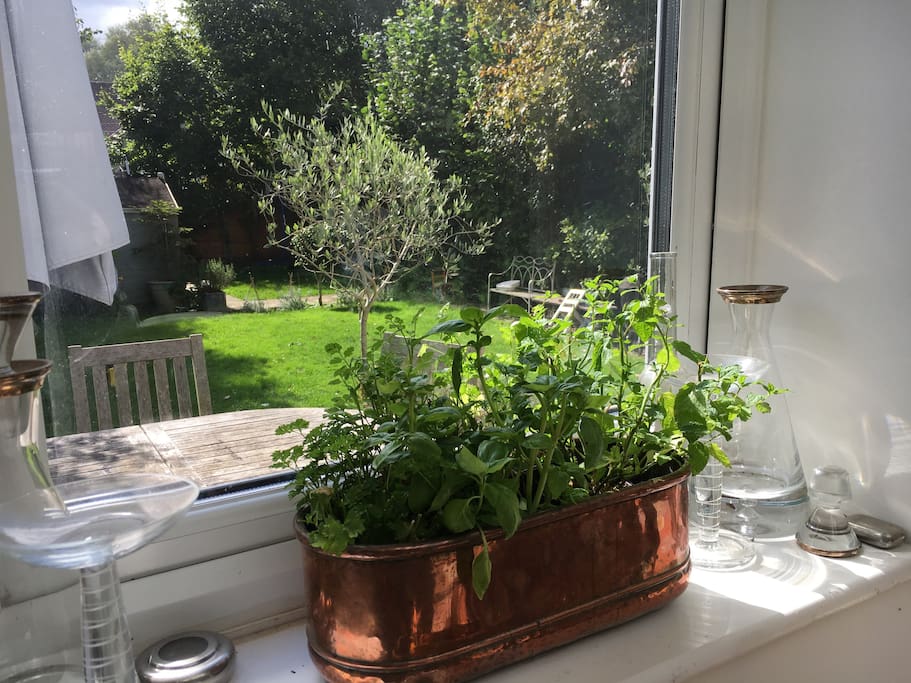 Views to the south facing garden from the kitchen