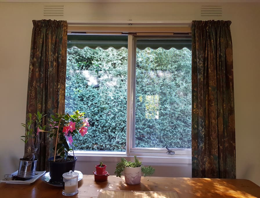 Garden View in the morning.