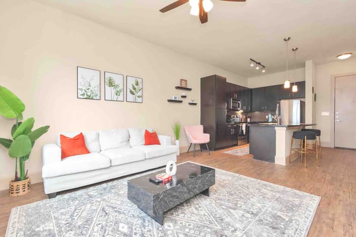 Calm King 2bdr W/ Free Parking, Pool, Downtown Htx - Houston, TX
