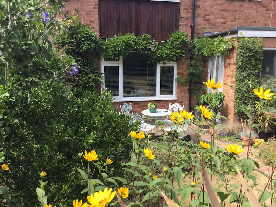The front garden
