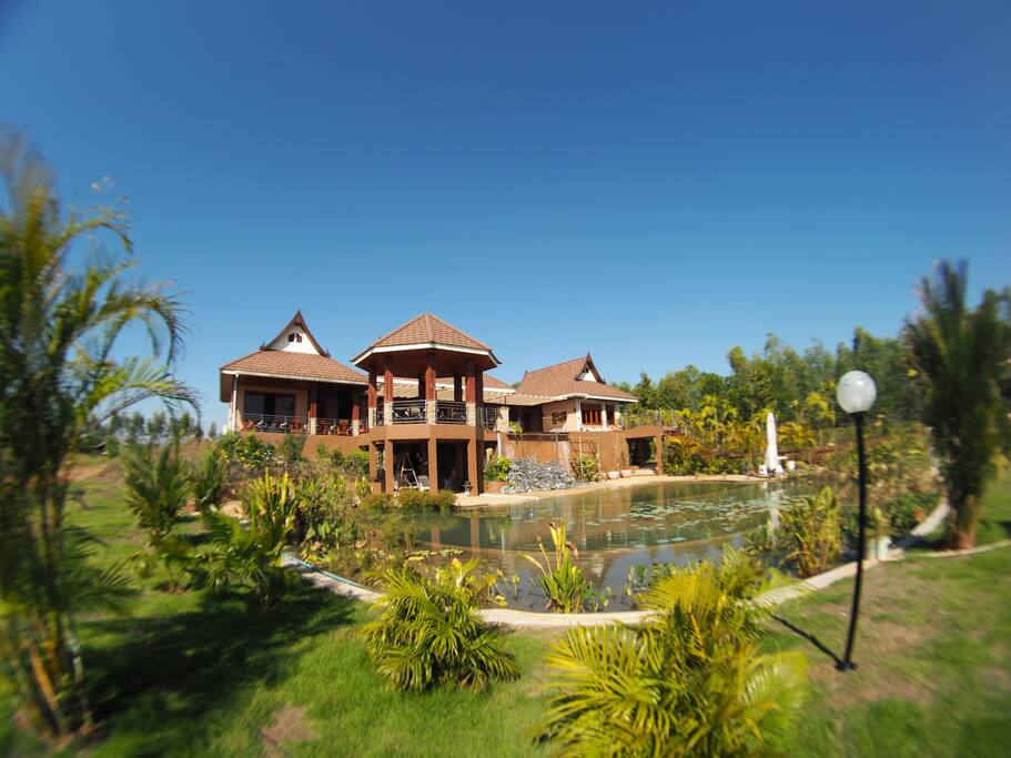 view from the backside
