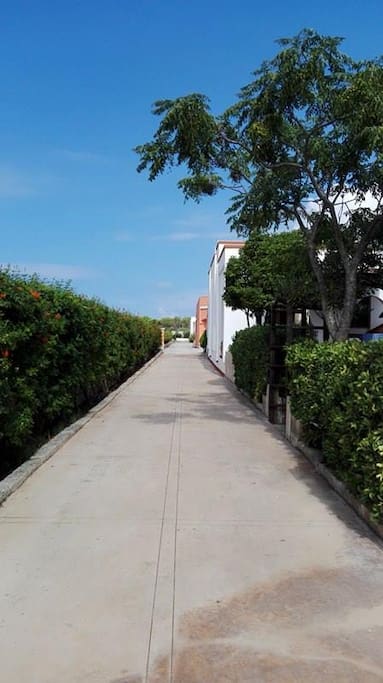 Vialetto d'ingresso
