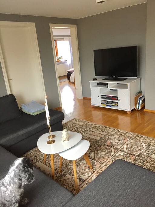 TV room