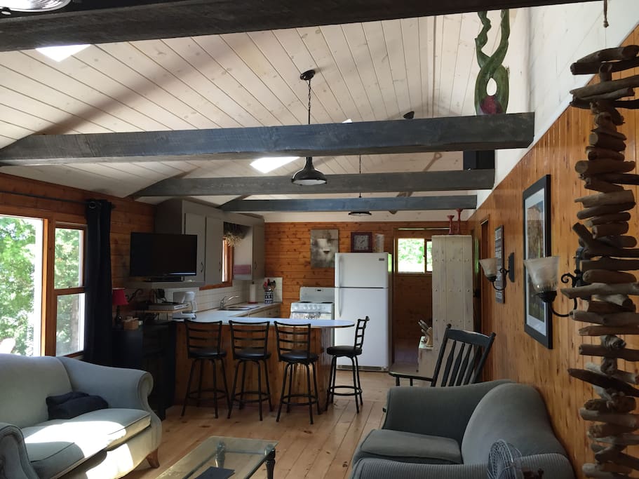 Livingroom/Kitchen open concept