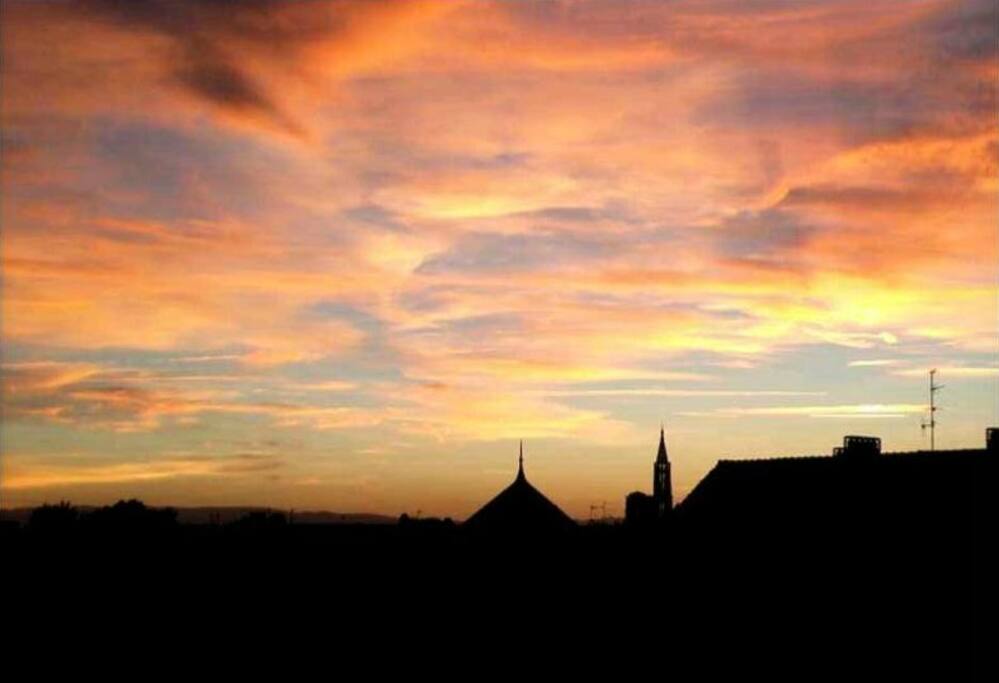 Vue depuis la terrasse
