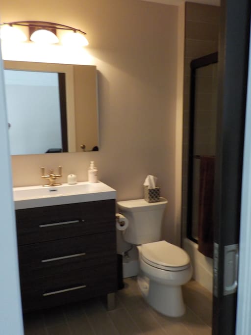 Bath/Shower Sink