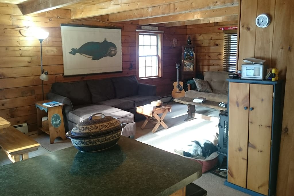 Open concept living space, dog friendly