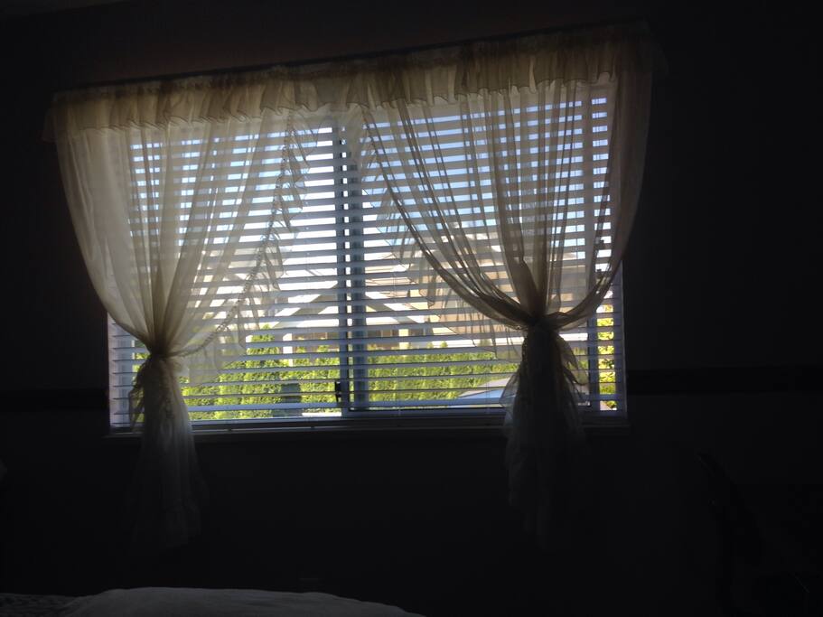 Window with view to the backyard