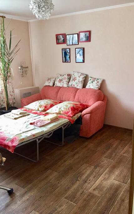 Big bright room with a comfortable sofa bed
