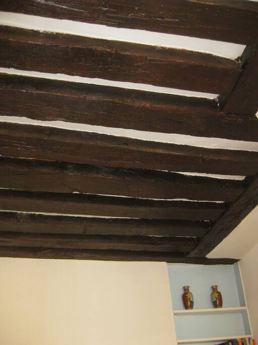 Ancient oak beams throughout aprtment