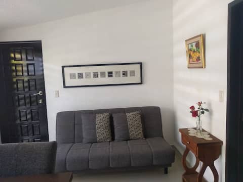 Top performing Airbnb: MODERN EXECUTIVE LOFT in álvaro Obregón