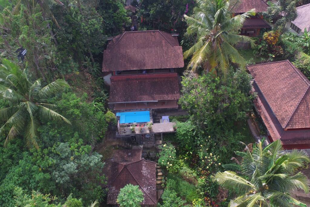 from above