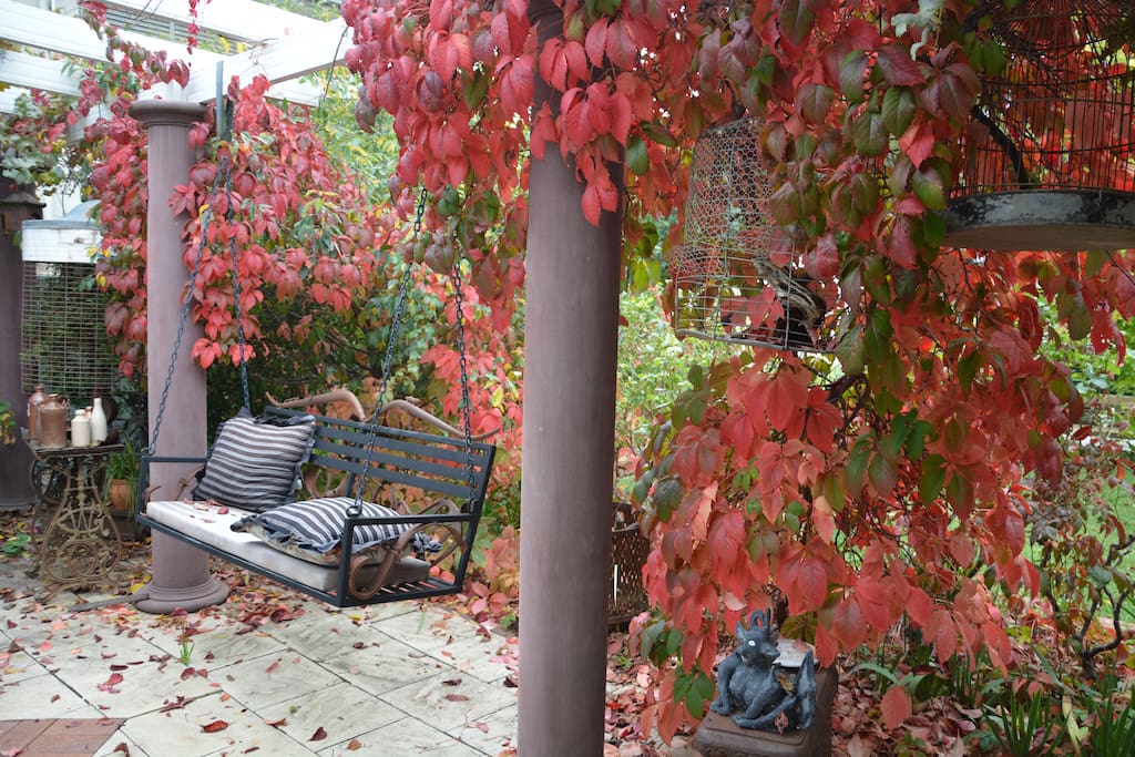 Autumn colour on the back porch