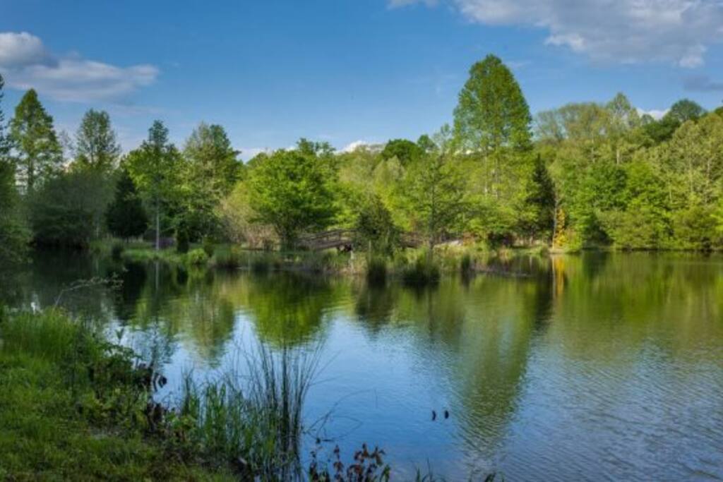 Great setting to just relax
