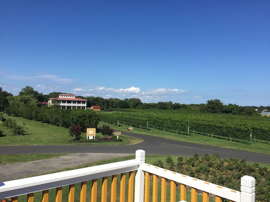 Stunning view of vineyard and Villa from Stable deck