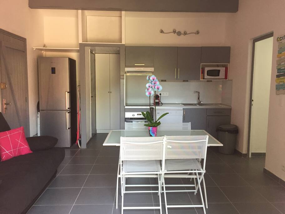 salon avec TV