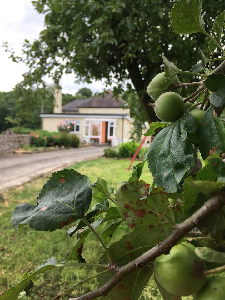 Ballyragget Holiday Rentals & Homes County Kilkenny, Ireland Airbnb