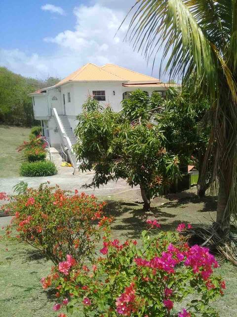 Authentic Grenadian Experience 2