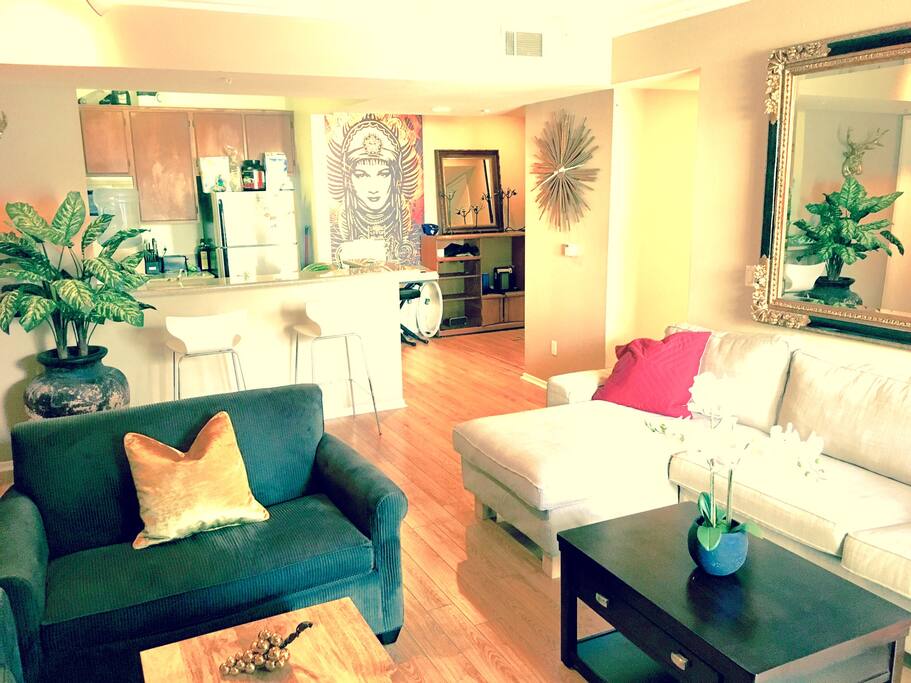 Living Room (Shared Space)