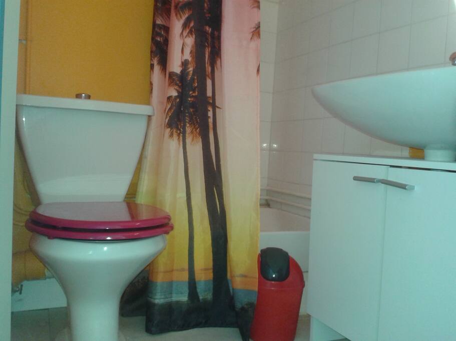 Douche, lavabo et WC