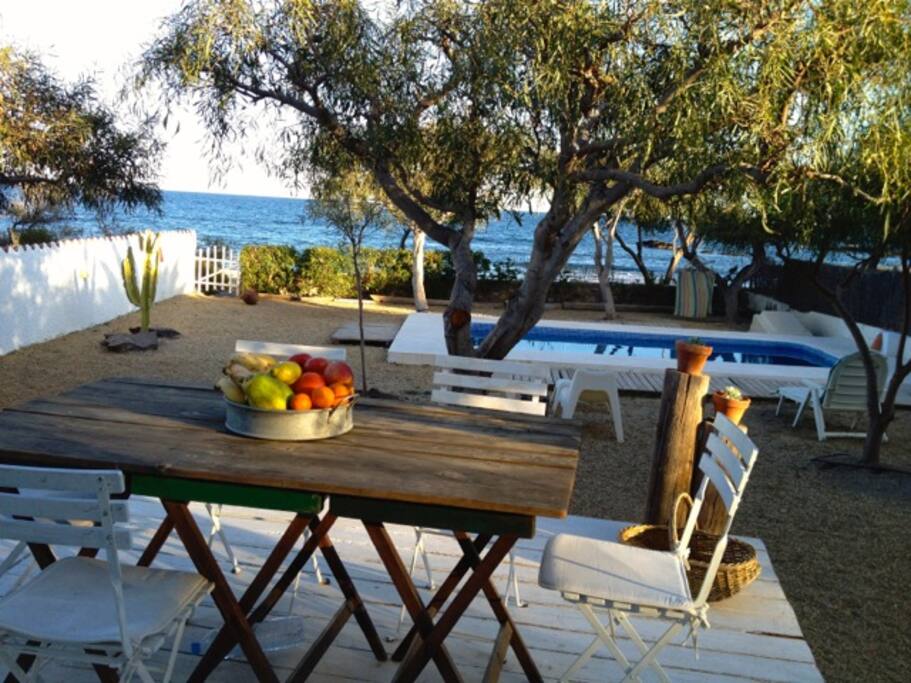 Terraza con jardín y mar al fondo