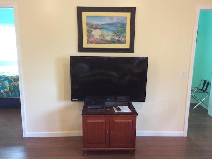 טלוויזיה 50אינץ' בסלון