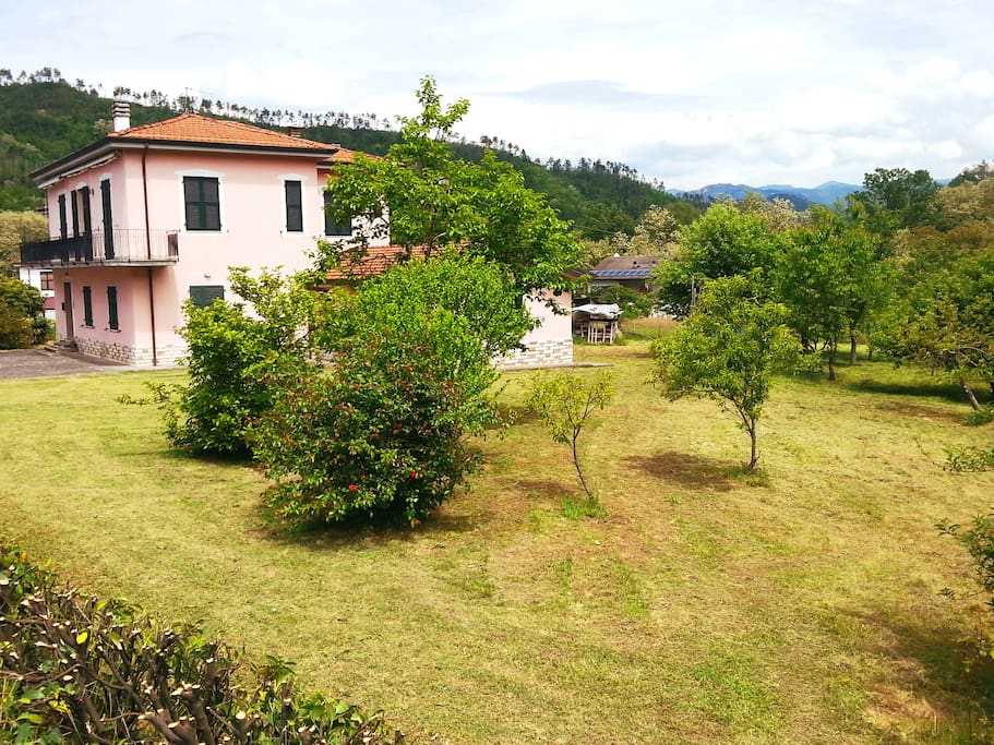 Il grande prato di Pinkhouse