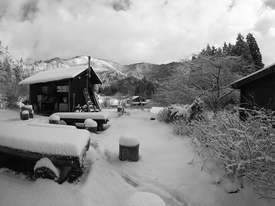 Our garden in winter.