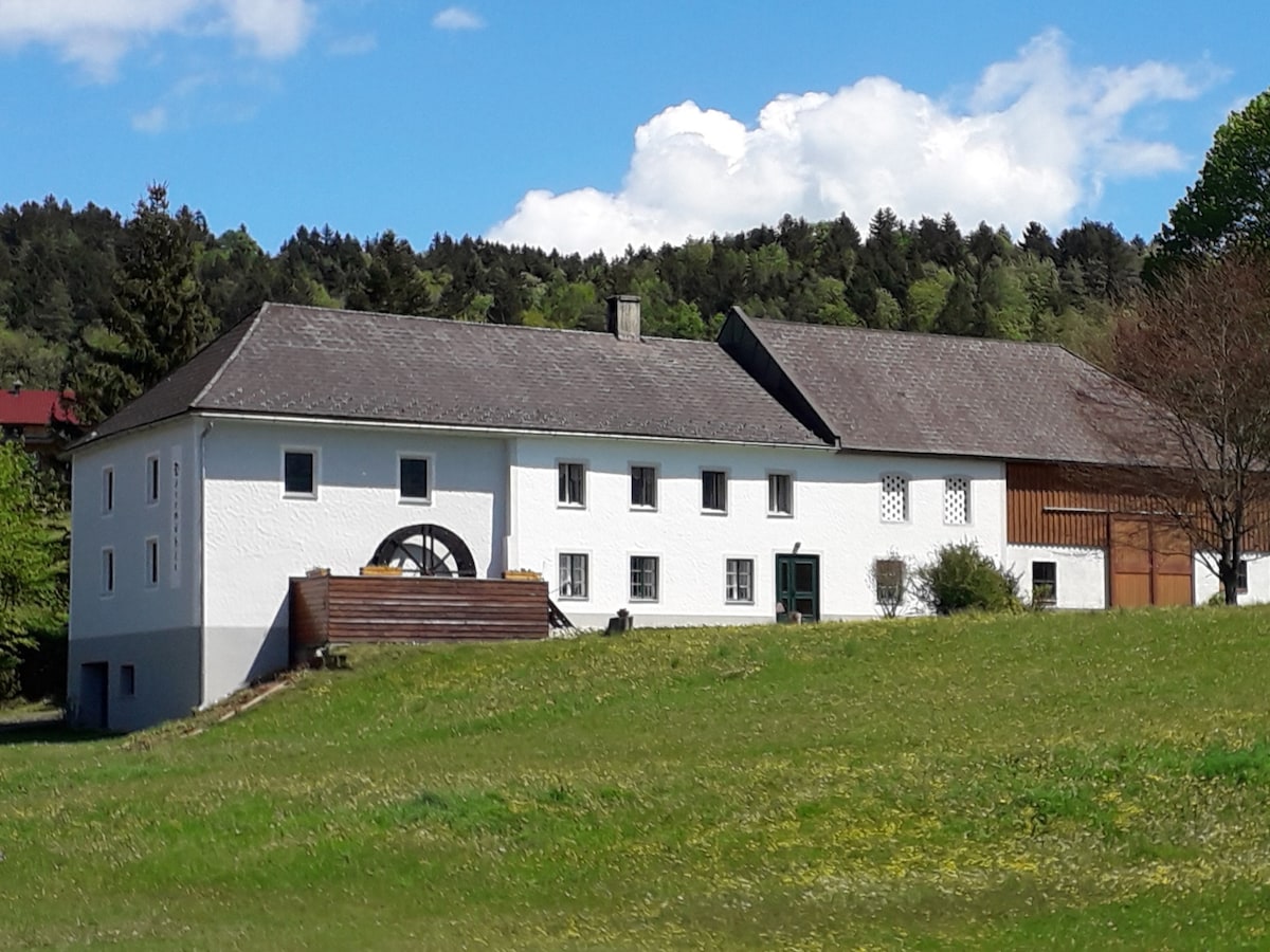 Rabenstein an der Pielach Vacation Rentals & Homes - Lower Austria, Austria  | Airbnb