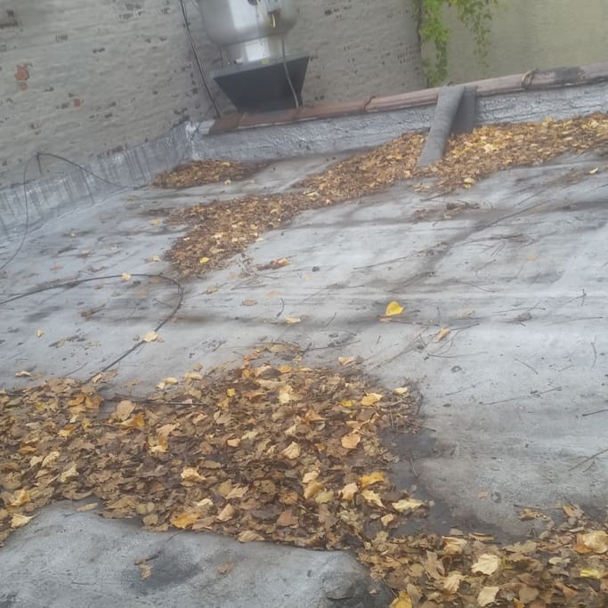 Access to small private rooftop outside the window.