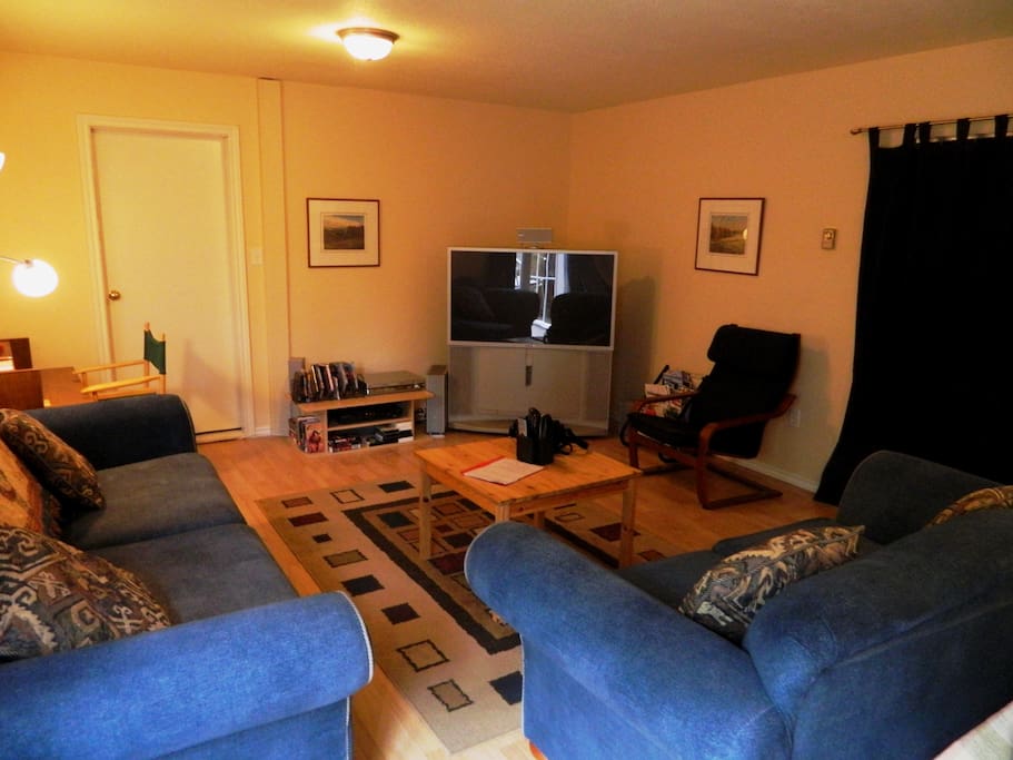 Comfy living room with TV and DVD player