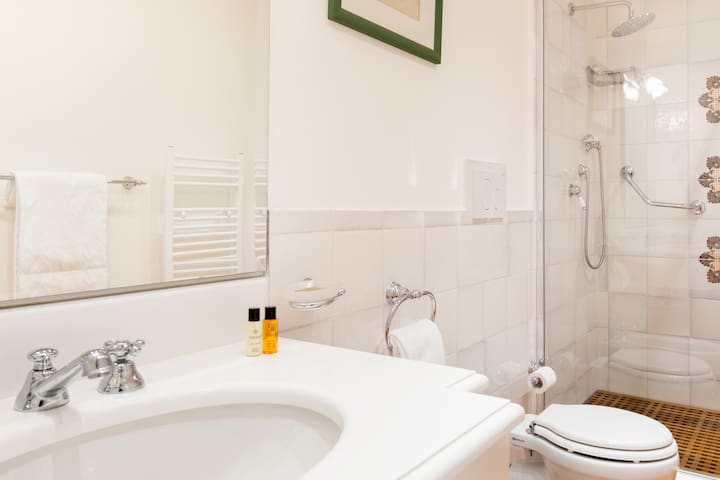 Spanish Steps Luxury Home gallery image 3