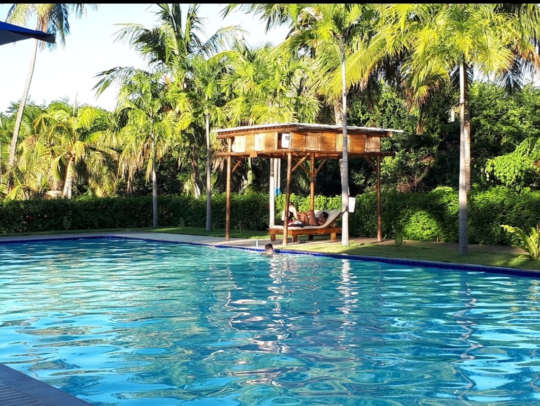 A spacious swimming pool is surrounded by lush greenery, featuring palm trees and vibrant landscaping. A wooden gazebo is positioned nearby, providing shaded seating. Clear turquoise water reflects the sunlight, creating a serene atmosphere for relaxation.