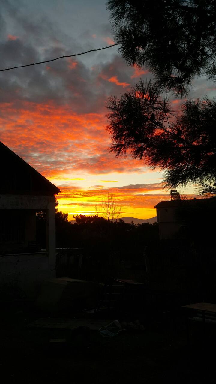 Izmir Gunluk Kiralik Daire Ilanlari Ve Fiyatlari