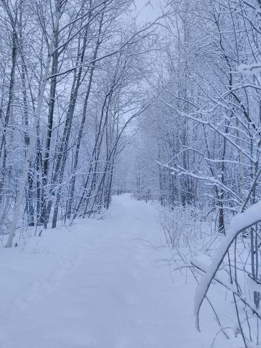 Explore 30 km of hiking trails