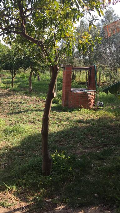 Jardín