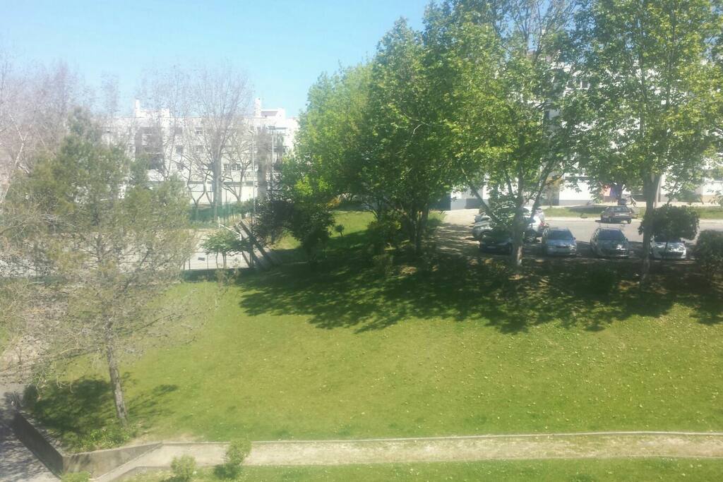 Vista para o jardim