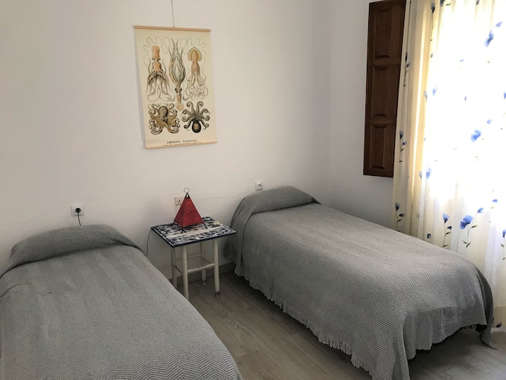 Twin Room (1/2)