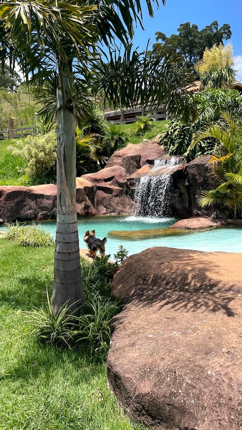 Country house with artificial waterfall and fire pit