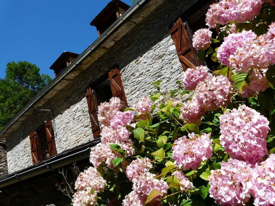 le gîte en été