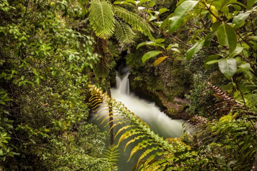 7 minutes walk from the Cabin. The amazing Tutea waterfall, 7 metres high. Set in a Native rain forest, with rafts and kayakers regularly paddling over.