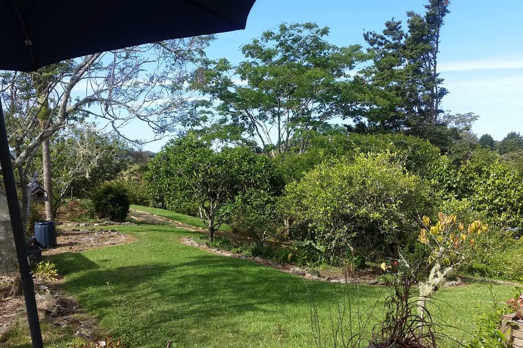 View from the deck