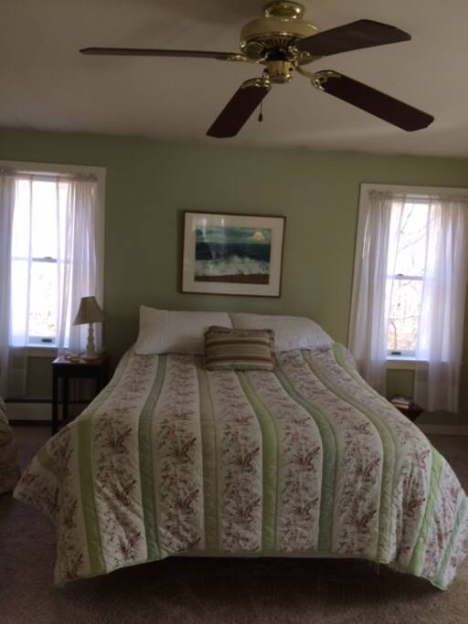 Master Bedroom suite with bath for guest
