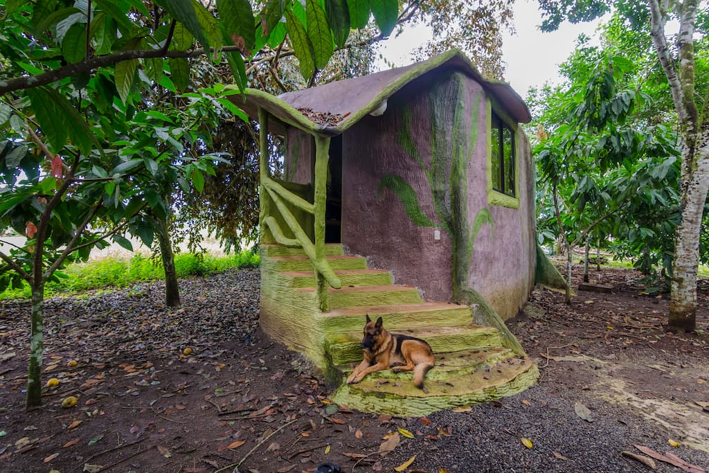 Cabin and Rosko "Friendliest Dog"