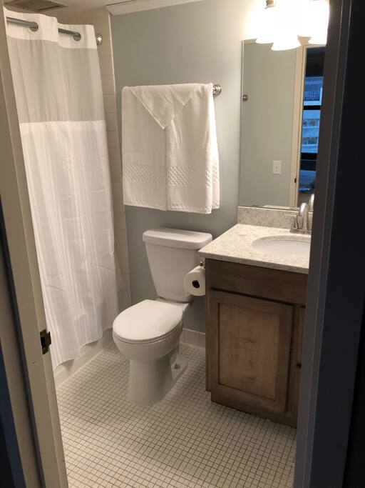Master Bath 1