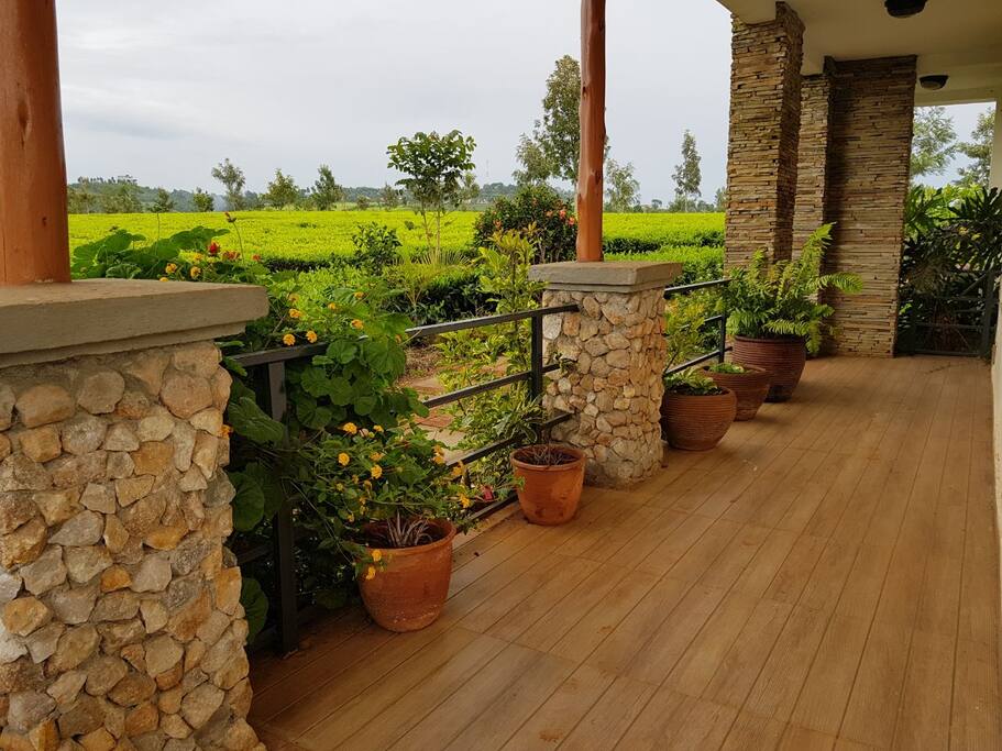 Patio overlooking Tea estate.