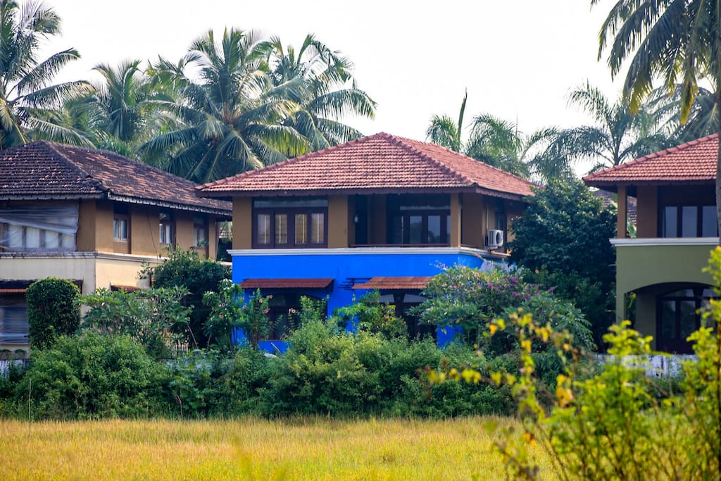 Front View and Garden